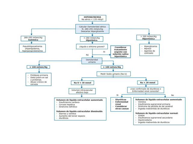 Gráfico 1. Algoritmo Diagnóstico De Hiponatremia 6 , 16 , 17