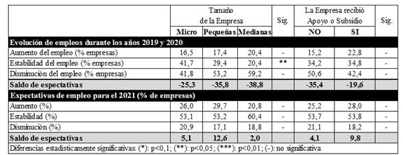 Impacto de la pandemia del COVID-19 en el empleo y ventas de las ...